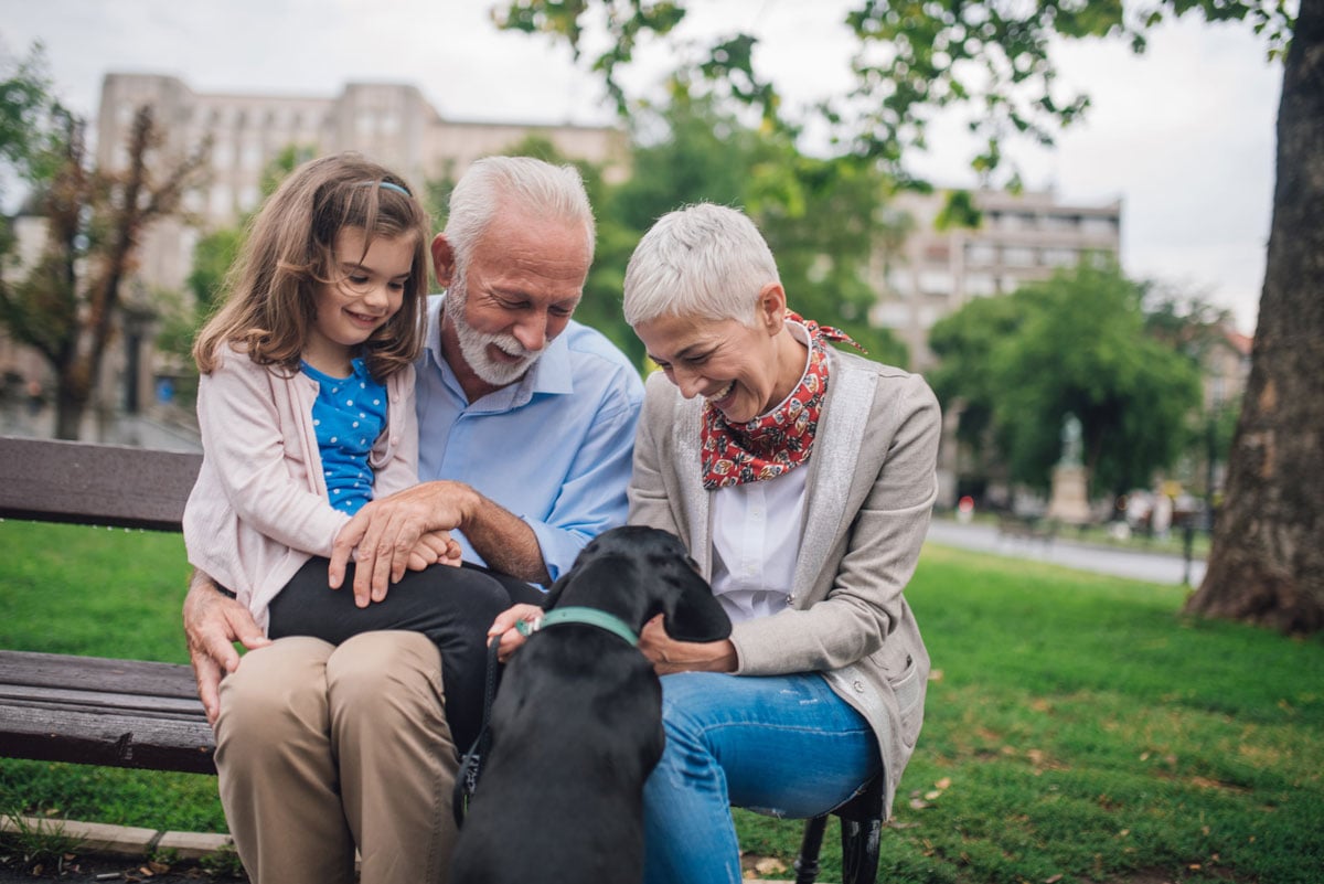 How a 401k Rollover to a SelfDirected IRA Works IRA Transfer Guide